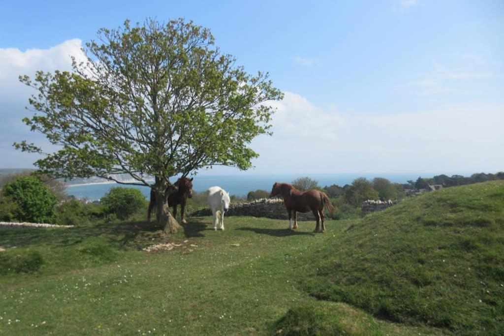 225 Buttercup Swanage Bay View - Vacation Home Zewnętrze zdjęcie